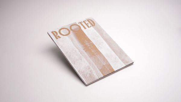 Rooted. Brasilianische Künstlerinnen / Female Brazilian Artists