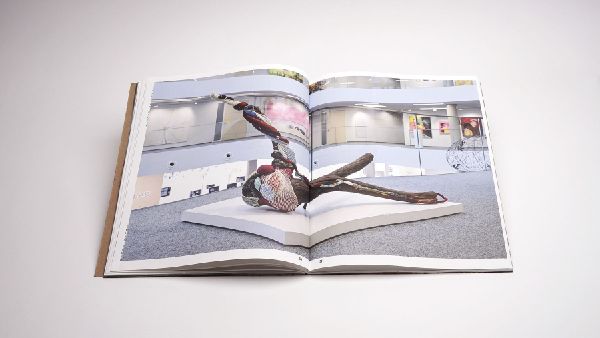 Rooted. Brasilianische Künstlerinnen / Female Brazilian Artists