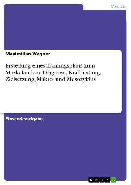 Erstellung eines Trainingsplans zum Muskelaufbau. Diagnose, Kr...