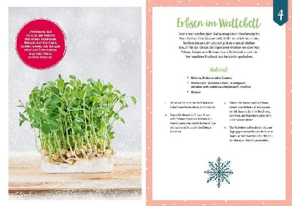 Adventskalenderbuch: 24 kreative Momente