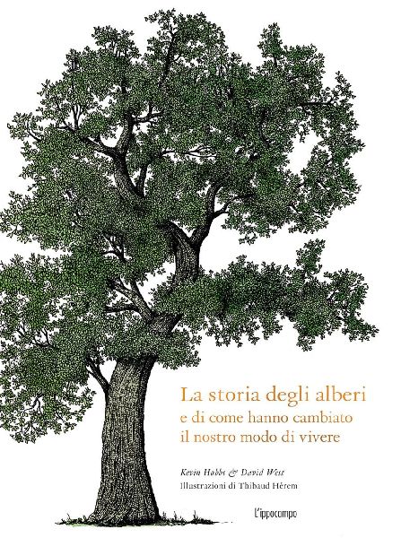 La storia degli alberi e di come hanno cambiato il nostro modo...