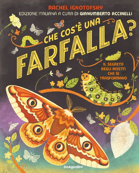 Che cos'è una farfalla? Il segreto degli insetti che si ...