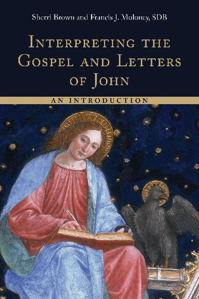 Interpreting the Gospel and Letters of John