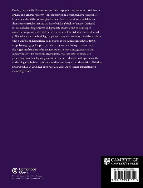 Advanced Concepts in Particle and Field Theory