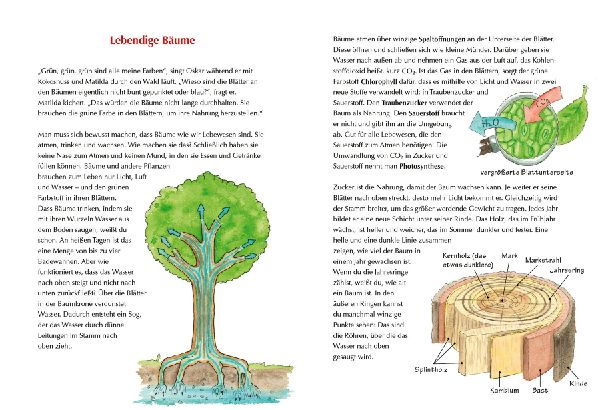 Der kleine Drache Kokosnuss - Mein erstes Wald-Buch