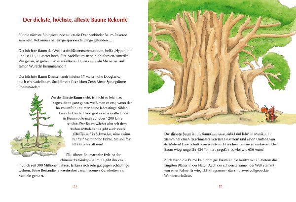 Der kleine Drache Kokosnuss - Mein erstes Wald-Buch