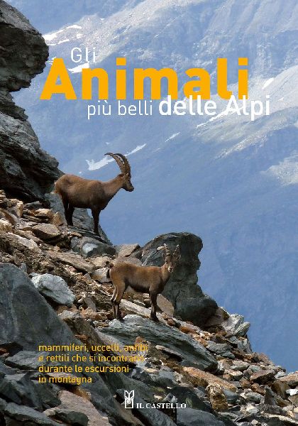 Gli animali più belli delle Alpi. Mammiferi, uccelli, anfibi ...