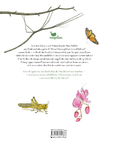 Insekten - Kleine Lebewesen, große Vielfalt