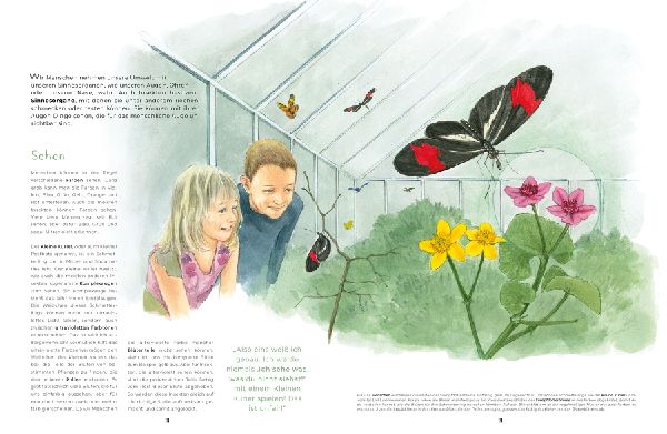 Insekten - Kleine Lebewesen, große Vielfalt