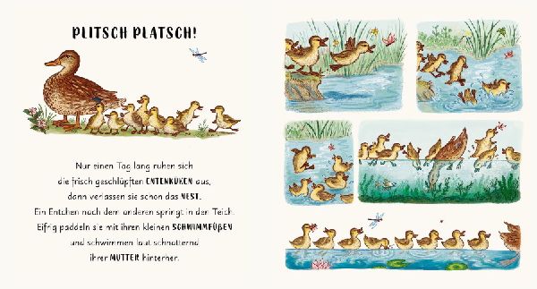 Wunder der Natur im Park