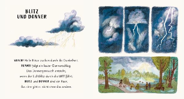 Wunder der Natur im Park