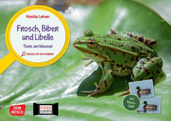 Frosch, Biber und Libelle. Tiere am Wasser. Kamishibai Bildkar...