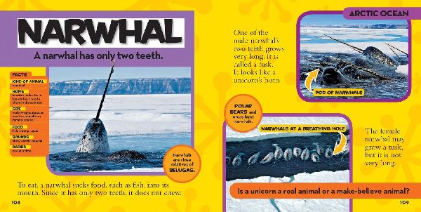 Little Kids First Big Book of The Ocean