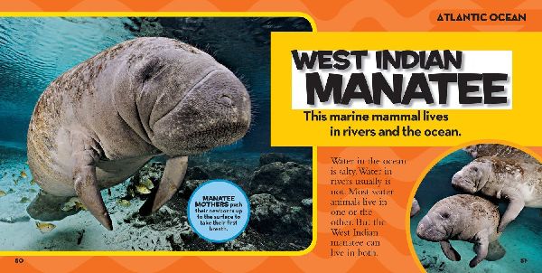 Little Kids First Big Book of The Ocean
