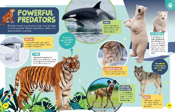 Little Kids First Encyclopedia of Almost Everything