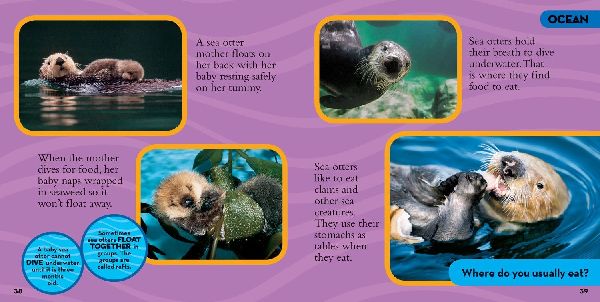 Little Kids First Big Book of Animals