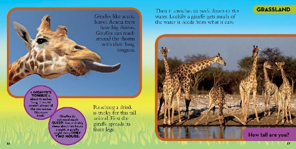 Little Kids First Big Book of Animals
