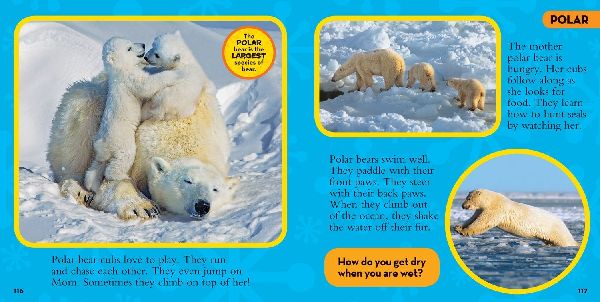 Little Kids First Big Book of Animals