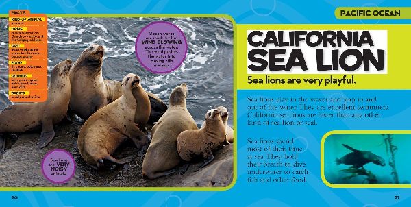 Little Kids First Big Book of The Ocean