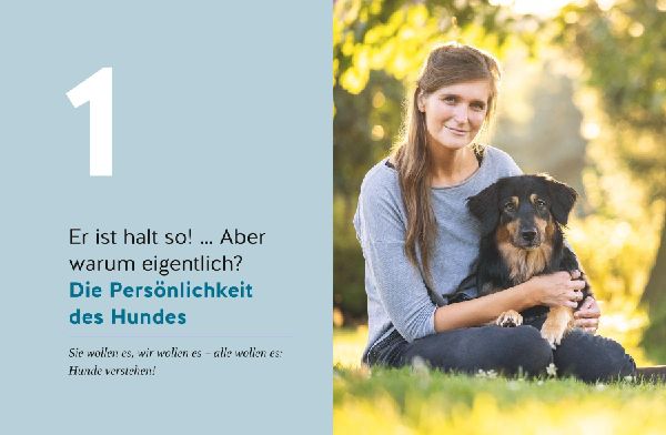 Wie ich meinen Hund endlich verstehe