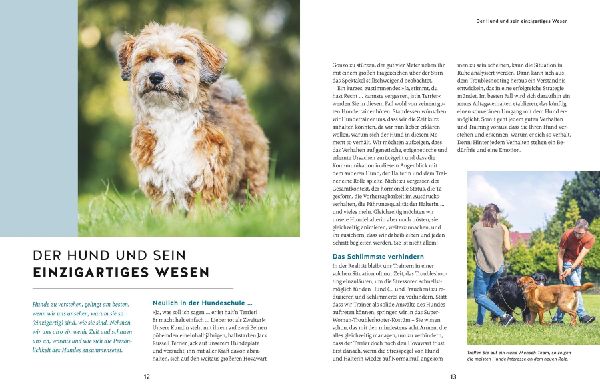 Wie ich meinen Hund endlich verstehe