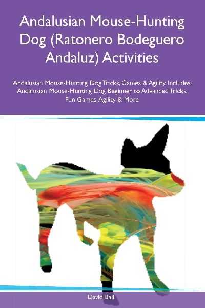 Andalusian Mouse-Hunting Dog (Ratonero Bodeguero Andaluz) Acti...