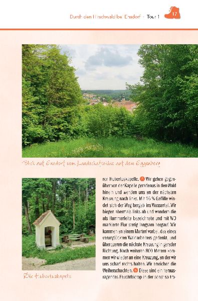 Wanderführer Hirschwald