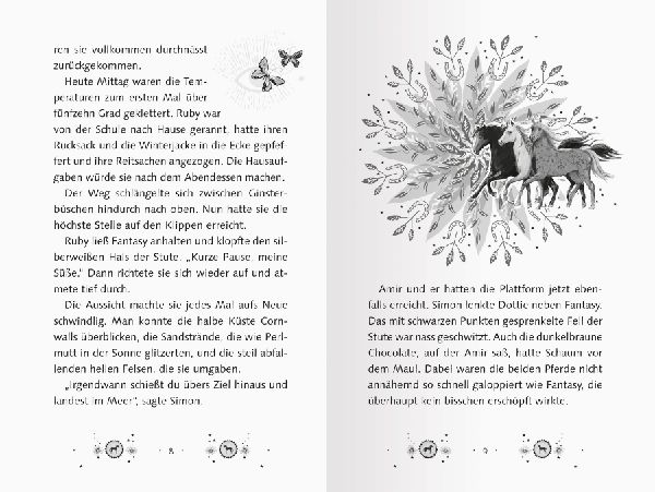 Pferdeflüsterer-Mädchen, Band 4 - Das kleine Wunder