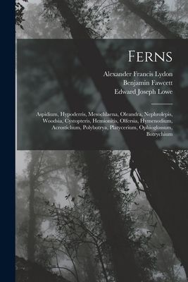 Ferns: Aspidium, Hypoderris, Mesochlaena, Oleandra, Nephrolepi...