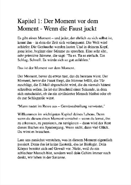ZEN UND DIE KUNST, DEN LEUTEN NICHT AUF DIE SCHNAUZE ZU HAUEN
