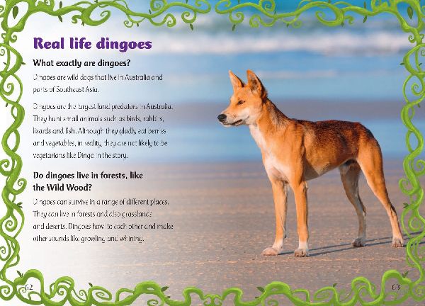 Diary of a (Big Bad) Good Dingo