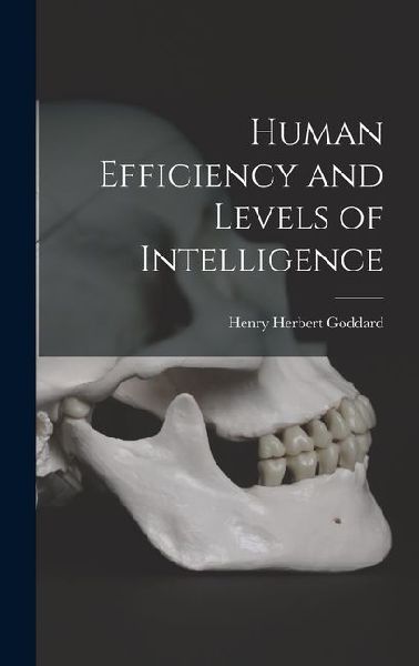 Human Efficiency and Levels of Intelligence