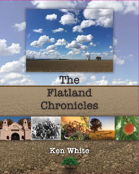 The Flatland Chronicles