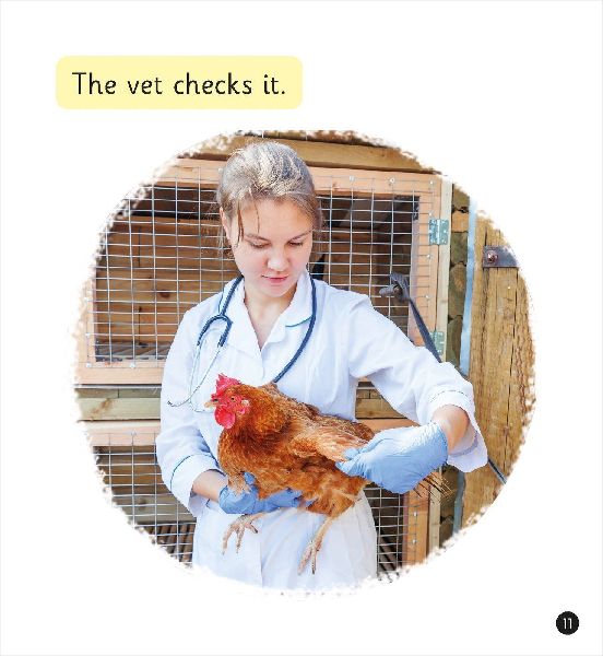The Job of a Vet (Set 4)
