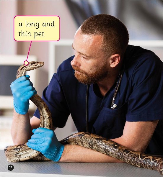 The Job of a Vet (Set 4)