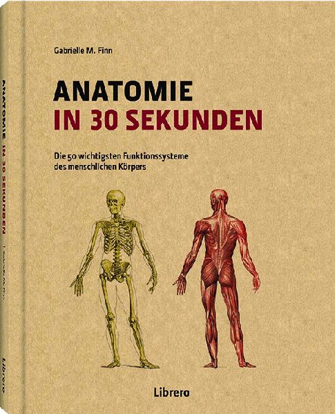 Anatomie in 30 Sekunden