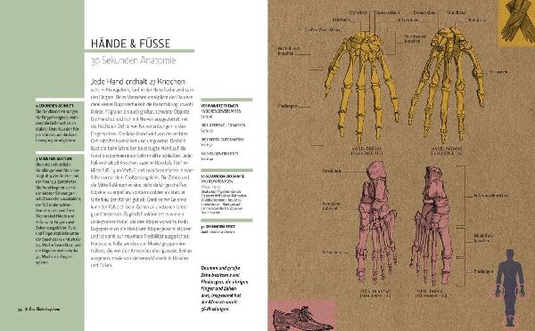 Anatomie in 30 Sekunden