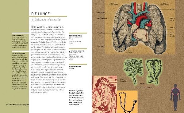Anatomie in 30 Sekunden