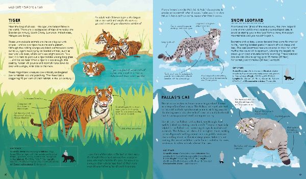 Lonely Planet Kids Atlas of Cats