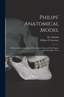 Philips' Anatomical Model: a Pictorial Representation of ...