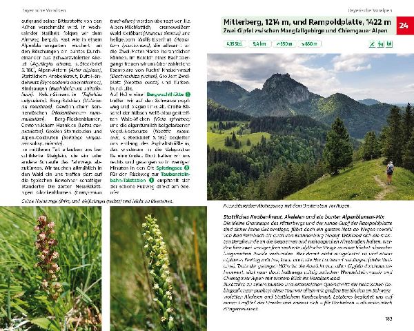 Blumenwanderungen Bayerische Alpen