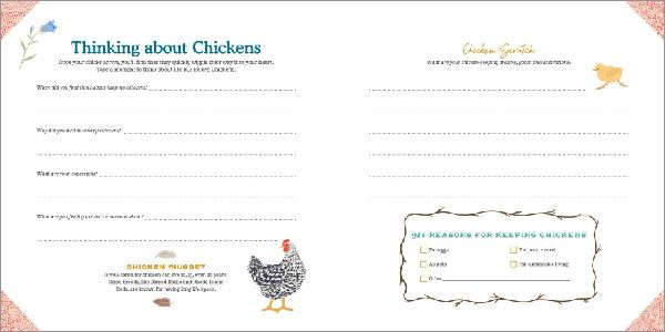 My Chicken Family