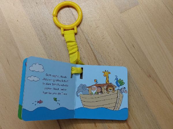 Die Buggy-Bibel