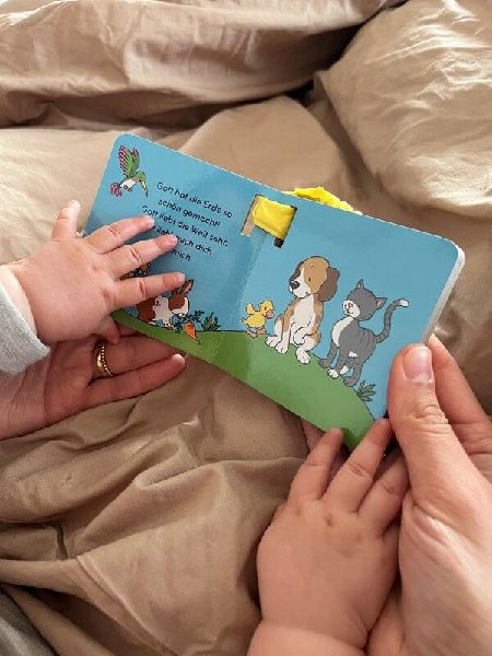 Die Buggy-Bibel