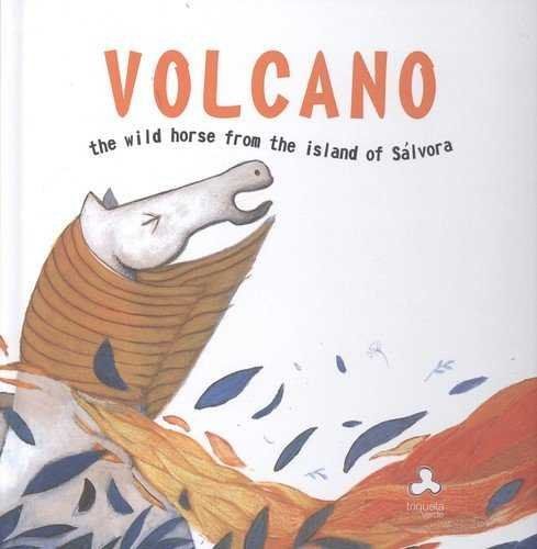 Volcán, the wild horse from the island of Sálvora