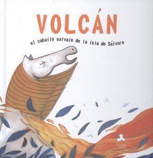 Volcán, el caballo salvaje de la isla de Sálvora