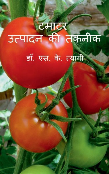 Tamatar Utpadan Ki Takneek / टमा...
