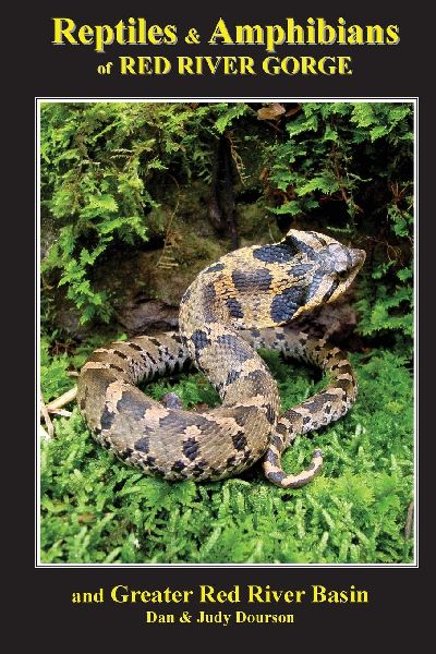 Reptiles and Amphibians of Red River Gorge & Greater Red R...