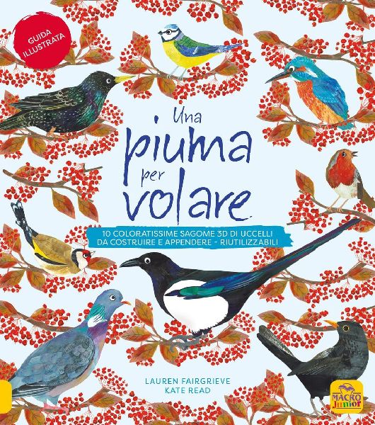 Una piuma per volare. 10 coloratissime sagome 3D di uccelli da...
