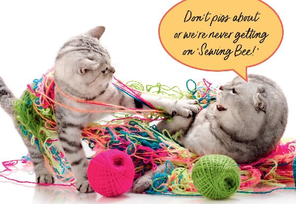 Sweary Cats